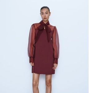 Zara organza dress